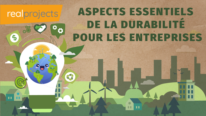 Aspects essentiels de la durabilité pour les entreprises