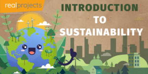 Introduction to Sustainability