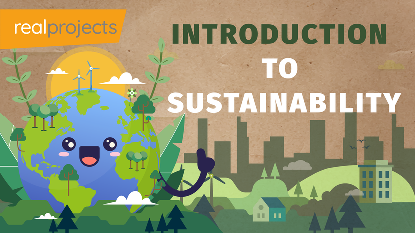Introduction to Sustainability