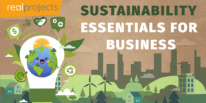 Sustainability Essentials for Business